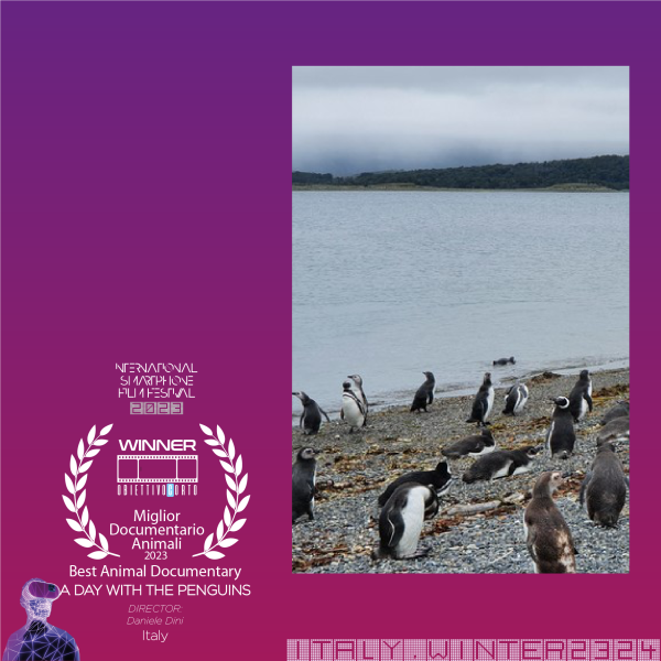 A DAY WITH PENGUINS