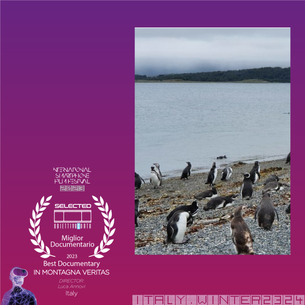 A DAY WITH THE PINGUINS
