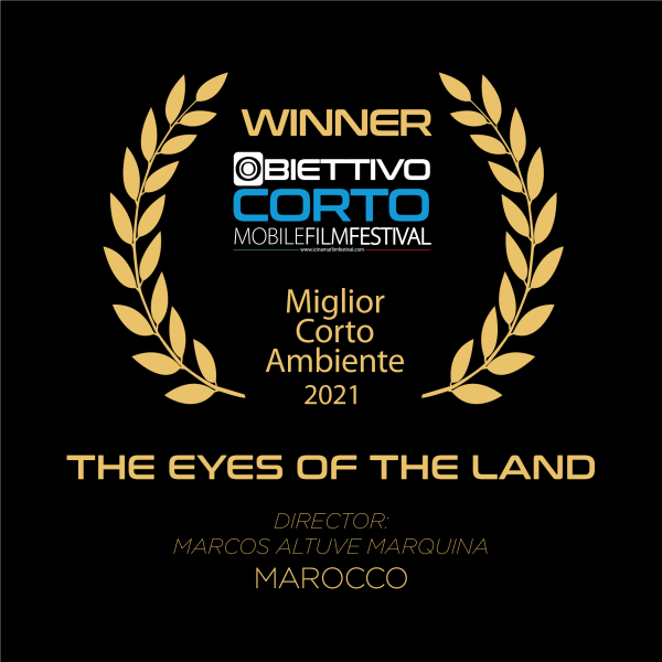 VINCITORE CORTO AMBIENTE
