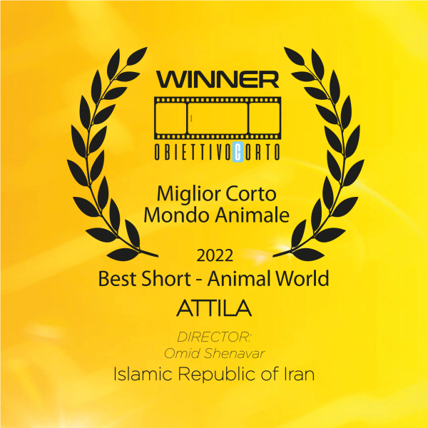 VINCITORE CORTO ANIMALI 2022