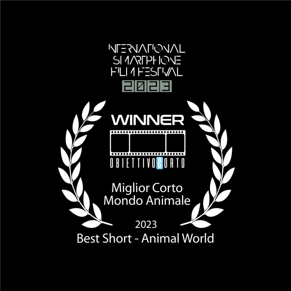 VINCITORE CORTO ANIMALI 2023