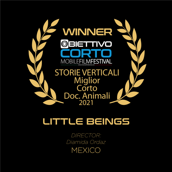 VINCITORE CORTO DOC ANIMALI